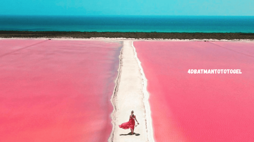 4dbatmantototogel